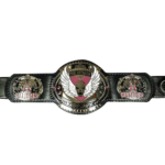 Bret Hart Hitman Wrestling Championship Belt