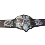 American Professional Wrestling-Women Championship Belt