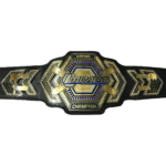 TNA Grand Impact World Heavyweight Championship Belt/Title