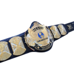 WWE Winged Eagle Championship Belt
