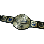 New Impact Wrestling World Championship Belt/Title